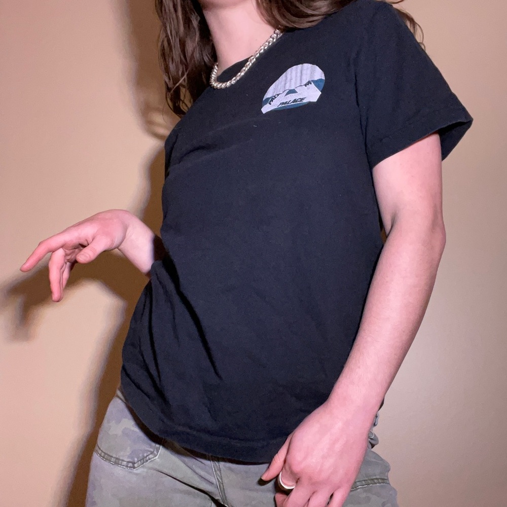 Palace T